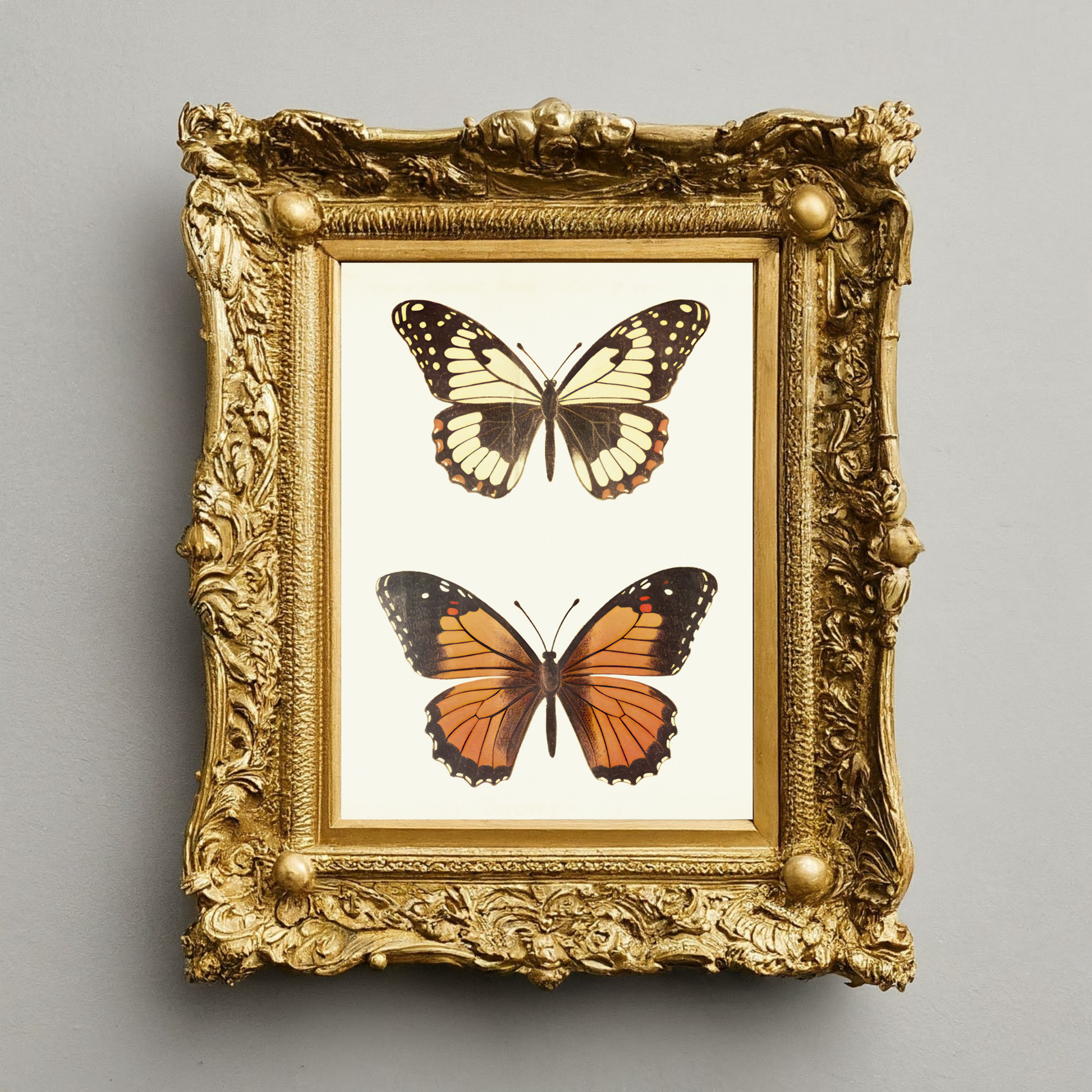 Delicate Wings - Ayah Creative Studio