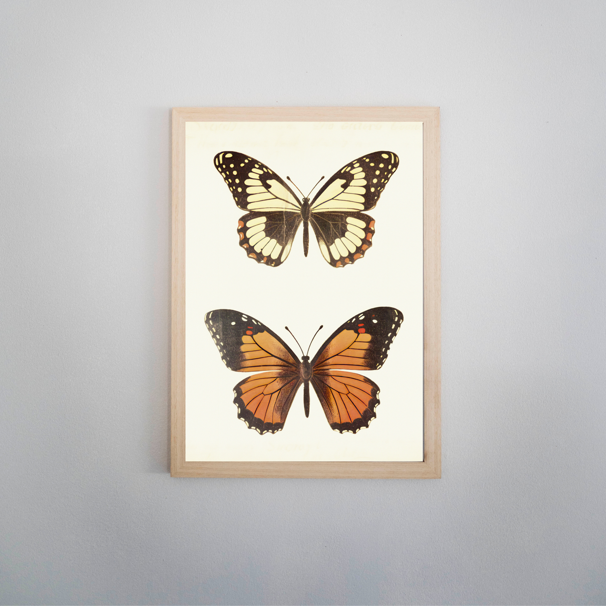 Delicate Wings - Ayah Creative Studio