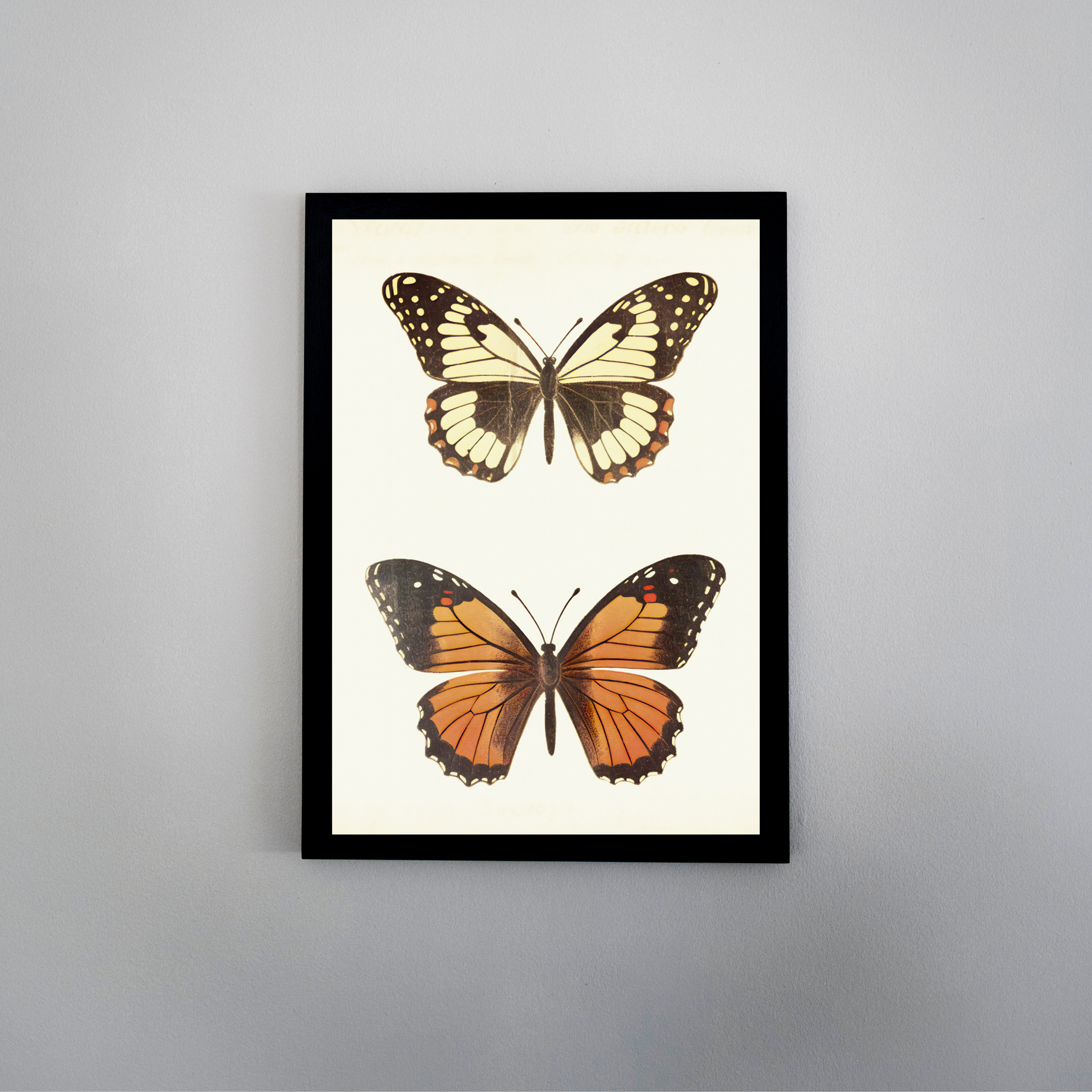 Delicate Wings - Ayah Creative Studio